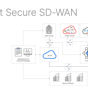 Fortinet SD WAN diagram