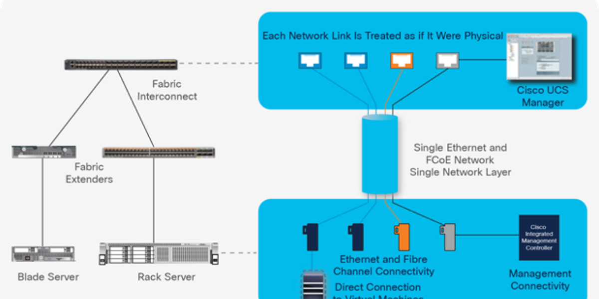 Cisco Fabric and Connectivity